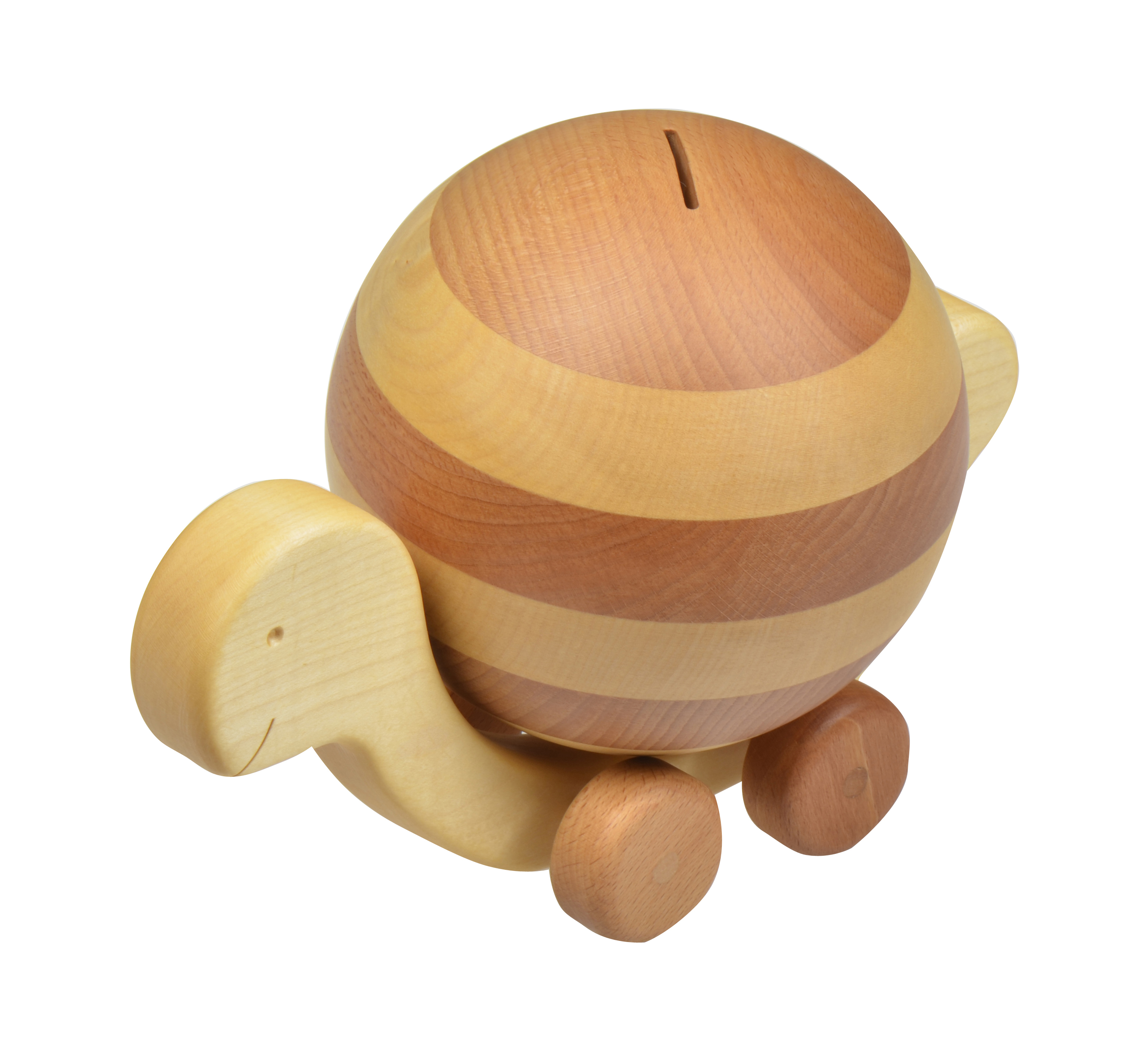 Kaesseli-Schildkroete Kässeli Schildkröte